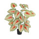 GloboStar® Artificial Garden CALADIUM PLANT 20921 Διακοσμητικό Φυτό Καλάντιουμ Φ75 x Υ80cm