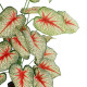 GloboStar® Artificial Garden CALADIUM PLANT 20921 Διακοσμητικό Φυτό Καλάντιουμ Φ75 x Υ80cm