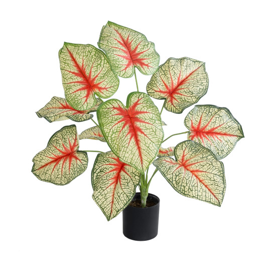 GloboStar® Artificial Garden CALADIUM PLANT 20932 Διακοσμητικό Φυτό Καλάντιουμ Φ58 x Υ55cm