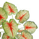 GloboStar® Artificial Garden CALADIUM PLANT 20932 Διακοσμητικό Φυτό Καλάντιουμ Φ58 x Υ55cm