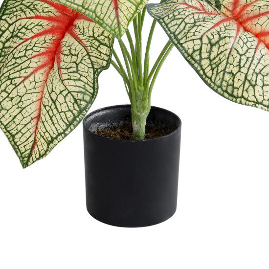 GloboStar® Artificial Garden CALADIUM PLANT 20932 Διακοσμητικό Φυτό Καλάντιουμ Φ58 x Υ55cm