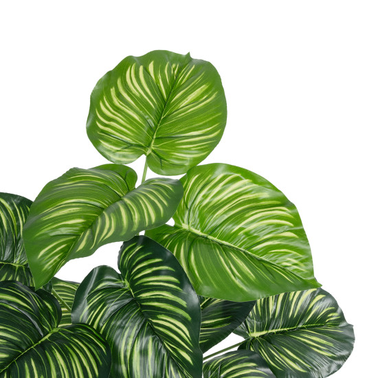 GloboStar® Artificial Garden CALATHEA PLANT 20933 Διακοσμητικό Φυτό Καλαθέα Φ55 x Υ55cm