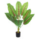 GloboStar® Artificial Garden BLOOD BANANA PLANT 20944 - Διακοσμητικό Φυτό Αιματόφυλλη Μπανανιά Φ70 x Υ90cm