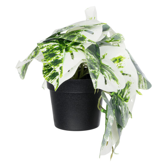 GloboStar® Artificial Garden ALBINO MONSTERA PLANT 20946 - Διακοσμητικό Φυτό Μονστέρα Φ23 x Υ16cm