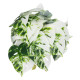 GloboStar® Artificial Garden ALBINO MONSTERA PLANT 20946 - Διακοσμητικό Φυτό Μονστέρα Φ23 x Υ16cm