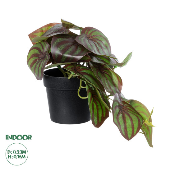 GloboStar® Artificial Garden BROWN PEPEROMIA PLANT 20952 Διακοσμητικό Φυτό Καφέ Πεπερόμια Φ23 x Υ16cm