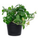 GloboStar® Artificial Garden SCHEFFLERA PLANT 20954 Διακοσμητικό Φυτό Σεφλέρα Φ18 x Υ17cm