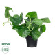 GloboStar® Artificial Garden BELL PLANT 20957 Διακοσμητικό Φυτό Σεφλέρα Φ47 x Υ22cm