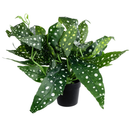 GloboStar® Artificial Garden BEGONIA POLKA DOT PLANT 20959 Διακοσμητικό Φυτό Βιγόνια Φ50 x Υ22cm