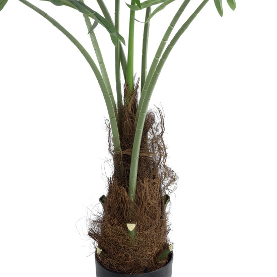 GloboStar® Artificial Garden SERENOA PALM PLANT 20971 Διακοσμητικό Φυτό Φοίνικα Σερενόα Φ60 x Υ140cm