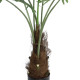 GloboStar® Artificial Garden SERENOA PALM PLANT 20971 Διακοσμητικό Φυτό Φοίνικα Σερενόα Φ60 x Υ140cm