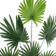 GloboStar® Artificial Garden SERENOA PALM PLANT 20972 Διακοσμητικό Φυτό Φοίνικα Σερενόα Φ103 x Υ180cm