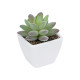 GloboStar® Artificial Garden  SUCCULENT SEDEVERIA POTTED PLANT 20975 Διακοσμητικό Φυτό Φοίνικα Σερενόα Φ7 x Υ8cm