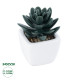 GloboStar® Artificial Garden SUCCULENT SEDEVERIA PLANT 20977 Διακοσμητικό Φυτό Παχύφυτο Σεντεβέρια Φ6 x Υ9cm