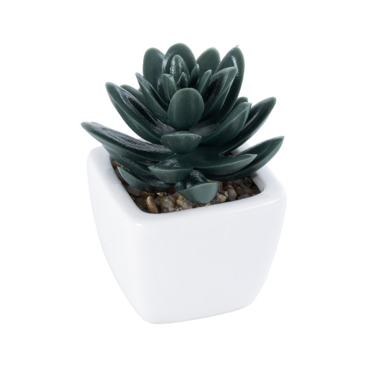 GloboStar® Artificial Garden SUCCULENT SEDEVERIA PLANT 20977 Διακοσμητικό Φυτό Παχύφυτο Σεντεβέρια Φ6 x Υ9cm