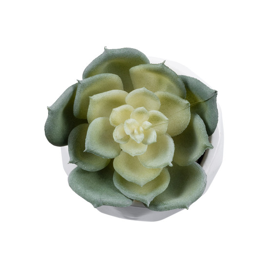 GloboStar® Artificial Garden SUCCULENT ECHEVERIA 20980 Διακοσμητικό Φυτό Παχύφυτο Εχεβέρια Υ7.5cm