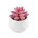 GloboStar® Artificial Garden SUCCULENT SEDEVERIA 20981 Διακοσμητικό Φυτό Παχύφυτο Σεντεβέρια Υ8cm