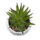 GloboStar® Artificial Garden SUCCULENT ALOE 20982 Διακοσμητικό Φυτό Παχύφυτο Αλόη Υ11cm