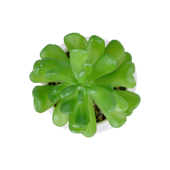 GloboStar® Artificial Garden SUCCULENT CRASSULA POTTED PLANT 20986 Διακοσμητικό Φυτό Κρασούλα Φ6 x Υ10cm