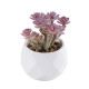 GloboStar® Artificial Garden SUCCULENT SEDUM 20988 Διακοσμητικό Φυτό Παχύφυτο Σέδο Υ10cm