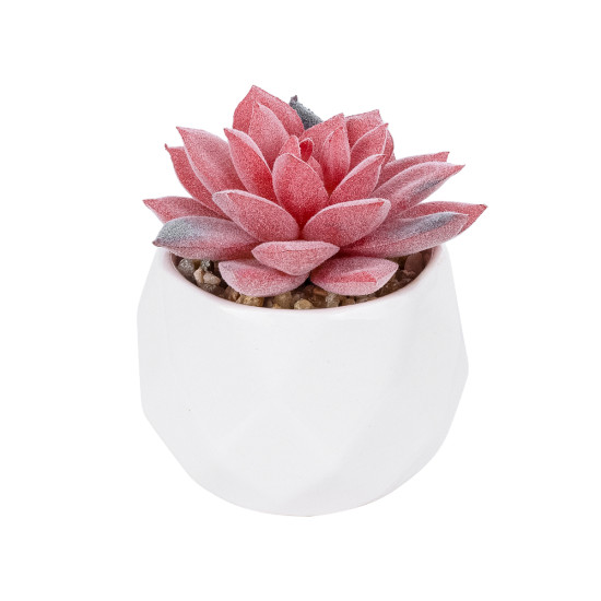 GloboStar® Artificial Garden SUCCULENT SEDEVERIA POTTED PLANT 20989 Διακοσμητικό Φυτό Σεδεβέρια Φ6,5 x Υ8cm