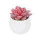 GloboStar® Artificial Garden SUCCULENT SEDEVERIA POTTED PLANT 20989 Διακοσμητικό Φυτό Σεδεβέρια Φ6,5 x Υ8cm