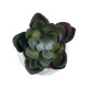 GloboStar® Artificial Garden SUCCULENT ECHEVERIA 20990 Διακοσμητικό Φυτό Παχύφυτο Εχεβέρια Υ8.5cm