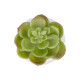 GloboStar® Artificial Garden SUCCULENT ECHEVERIA POTTED PLANT 20991 Διακοσμητικό Φυτό Εχεβέρια Φ6 x Υ8,5cm