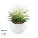 GloboStar® Artificial Garden SUCCULENT SENECIO 20997 Διακοσμητικό Φυτό Παχύφυτο Σενέκιο Υ12cm