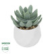 GloboStar® Artificial Garden SUCCULENT SEDEVERIA POTTED PLANT 20998 Διακοσμητικό Φυτό Σεδεβέρια  Φ7 x Υ9cm