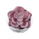 GloboStar® Artificial Garden SUCCULENT ECHEVERIA 21000 Διακοσμητικό Φυτό Παχύφυτο Εχεβέρια Υ7.5cm