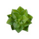 GloboStar® Artificial Garden SUCCULENT ECHEVERIA 21003 Διακοσμητικό Φυτό Παχύφυτο Εχεβέρια Υ8cm