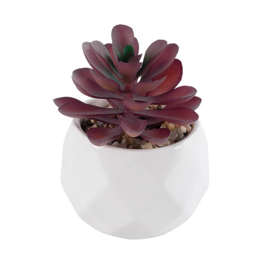 GloboStar® Artificial Garden SUCCULENT CRASSULA 21004 Διακοσμητικό Φυτό Παχύφυτο Κράσουλα Υ9.5cm