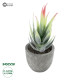 GloboStar® Artificial Garden SUCCULENT ALOE 21009 Διακοσμητικό Φυτό Παχύφυτο Αλόη Υ14cm