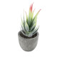 GloboStar® Artificial Garden SUCCULENT ALOE 21009 Διακοσμητικό Φυτό Παχύφυτο Αλόη Υ14cm