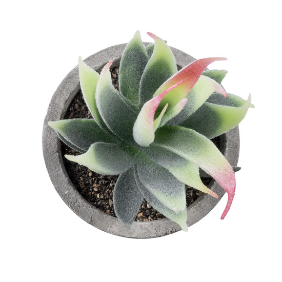 GloboStar® Artificial Garden SUCCULENT ALOE 21009 Διακοσμητικό Φυτό Παχύφυτο Αλόη Υ14cm