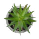 GloboStar® Artificial Garden SUCCULENT ALOE 21010 Διακοσμητικό Φυτό Παχύφυτο Αλόη Υ11cm