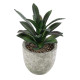 GloboStar® Artificial Garden SUCCULENT ALOE 21011 Διακοσμητικό Φυτό Παχύφυτο Αλόη Υ13cm