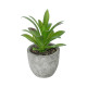 GloboStar® Artificial Garden SUCCULENT ALOE POTTED PLANT 21012 Διακοσμητικό Φυτό Αλόη  Φ9 x Υ13cm