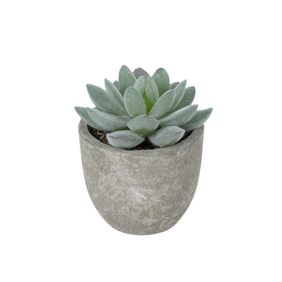 GloboStar® Artificial Garden SUCCULENT SEDEVERIA POTTED PLANT 21016 Διακοσμητικό Φυτό Σεδεβέρια  Φ7 x Υ8cm