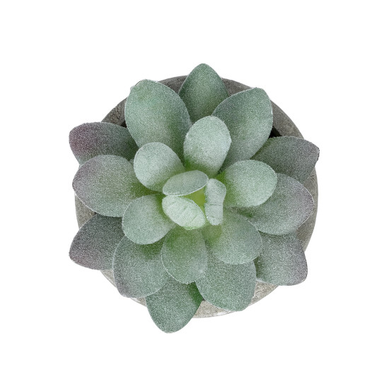 GloboStar® Artificial Garden SUCCULENT SEDEVERIA POTTED PLANT 21016 Διακοσμητικό Φυτό Σεδεβέρια  Φ7 x Υ8cm