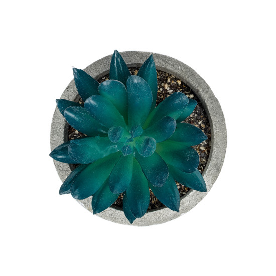 GloboStar® Artificial Garden SUCCULENT SEDEVERIA POTTED PLANT 21018 Διακοσμητικό Φυτό Σεδεβέρια  Φ6,5 x Υ9cm