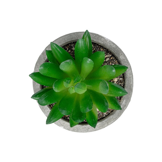 GloboStar® Artificial Garden SUCCULENT SEDEVERIA POTTED PLANT 21019 Διακοσμητικό Φυτό Σεδεβέρια  Φ6,5 x Υ9cm