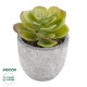 GloboStar® Artificial Garden SUCCULENT SEDEVERIA 21021 Διακοσμητικό Φυτό Παχύφυτο Σεντεβέρια Υ8.5cm