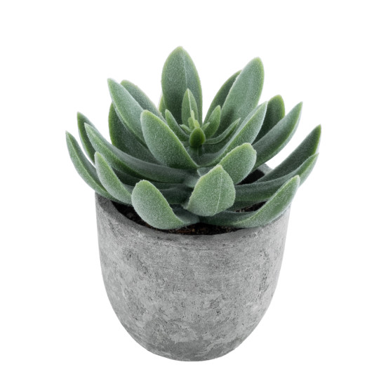 GloboStar® Artificial Garden SUCCULENT SEDEVERIA 21025 Διακοσμητικό Φυτό Παχύφυτο Σεντεβέρια Υ10.5cm