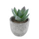 GloboStar® Artificial Garden SUCCULENT ALOE 21026 Διακοσμητικό Φυτό Παχύφυτο Αλόη Υ10.5cm