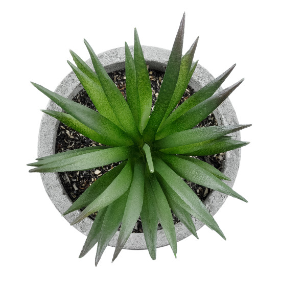 GloboStar® Artificial Garden SUCCULENT ALOE 21030 Διακοσμητικό Φυτό Παχύφυτο Αλόη Υ10cm