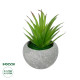 GloboStar® Artificial Garden AIR PLANT TILLANDSIA POTTED PLANT 21036 Διακοσμητικό Φυτό Τιλάντσια Φ12 x Υ15cm