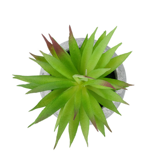 GloboStar® Artificial Garden AIR PLANT TILLANDSIA POTTED PLANT 21036 Διακοσμητικό Φυτό Τιλάντσια Φ12 x Υ15cm