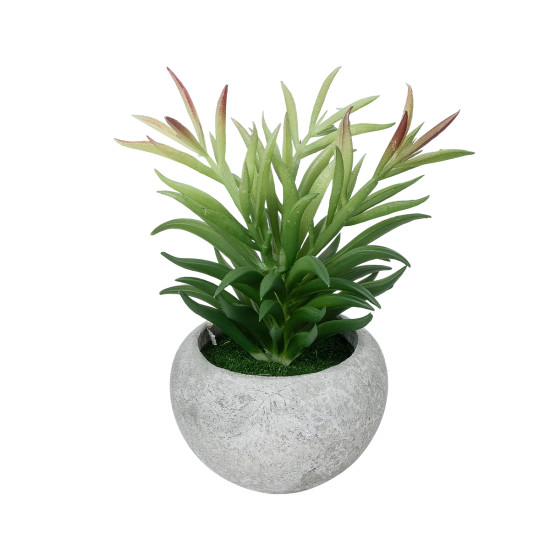 GloboStar® Artificial Garden SUCCULENT CRASSULA POTTED PLANT 21038 Διακοσμητικό Φυτό Κρασούλα  Φ10 x Υ17cm